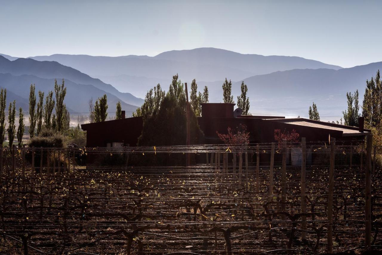 Miraluna Bodega Boutique Cachí Esterno foto