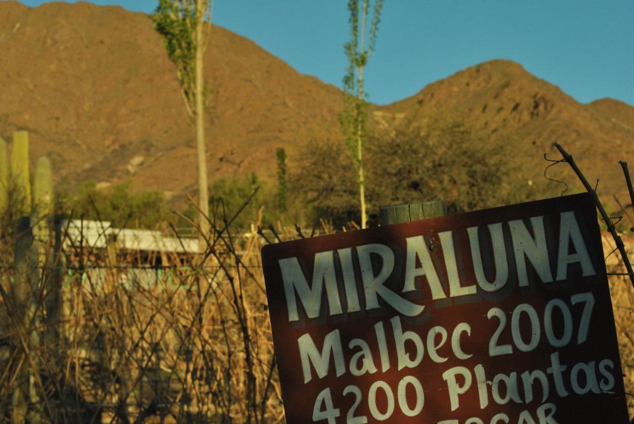 Miraluna Bodega Boutique Cachí Esterno foto
